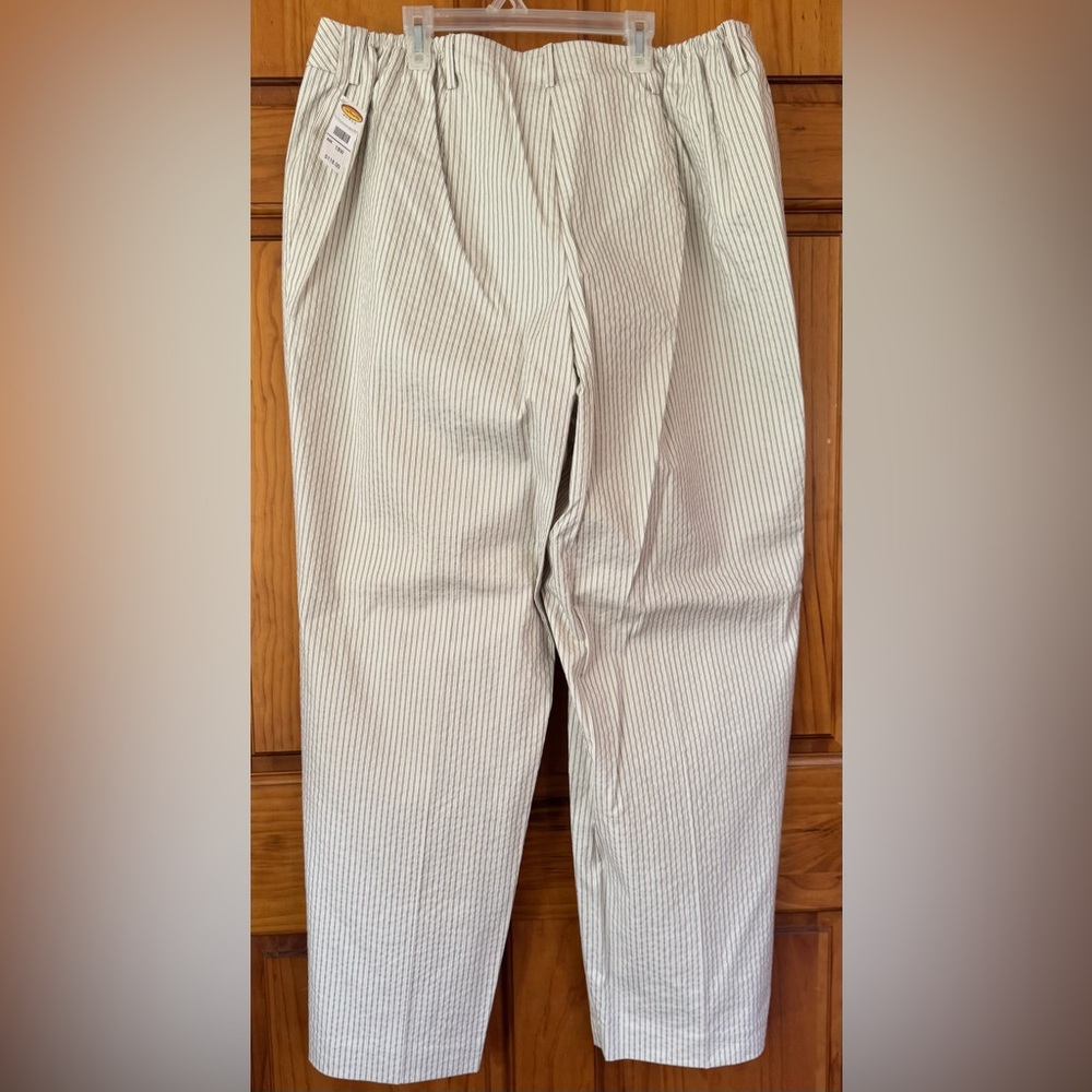 Talbots Beige and Brown Striped Cotton/Nylon Pants Size 18W - Picture 5 of 6